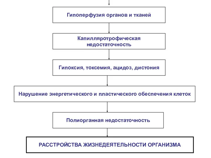 Гипоперфузия органов и тканей Капилляротрофическая недостаточность Гипоксия, токсемия, ацидоз, дистония Нарушение