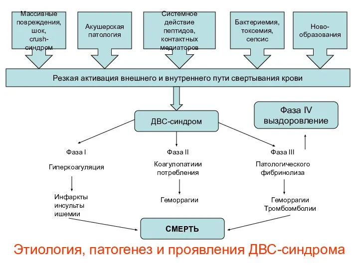 Этиология, патогенез и проявления ДВС-синдрома Массивные повреждения, шок, crush-синдром Резкая активация