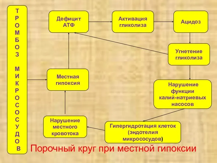 Порочный круг при местной гипоксии Т Р О М Б О