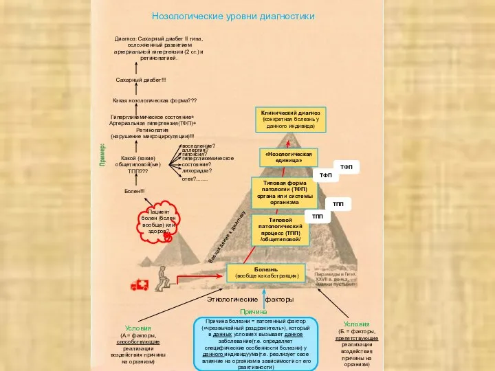 Пациент болен (болен вообще) или здоров? Восхождение к диагнозу Нозологические уровни