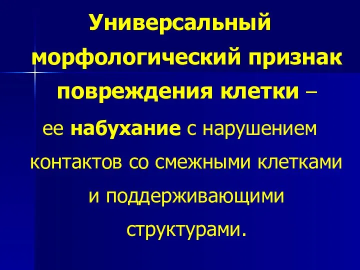 Универсальный морфологический признак повреждения клетки – ее набухание с нарушением контактов