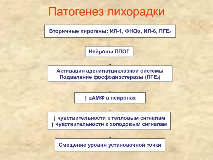 Патогенез лихорадки Вторичные пирогены: ИЛ-1, ФНОα, ИЛ-6, ПГЕ2 Нейроны ППОГ Активация