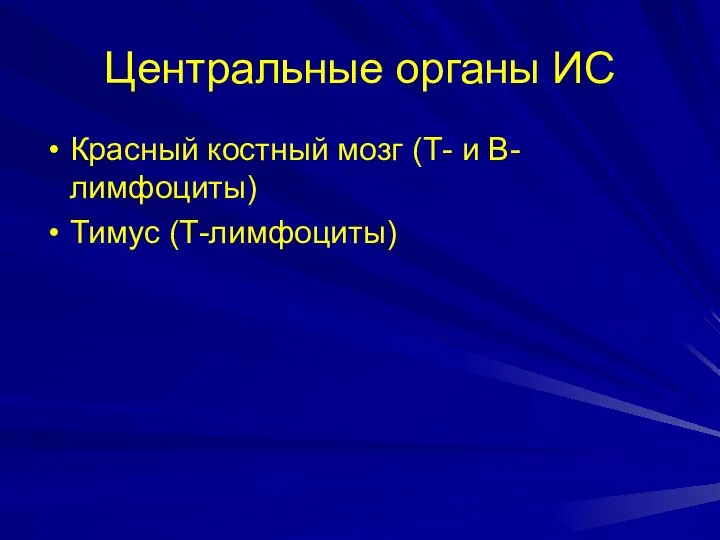 Центральные органы ИС Красный костный мозг (Т- и В-лимфоциты) Тимус (Т-лимфоциты)