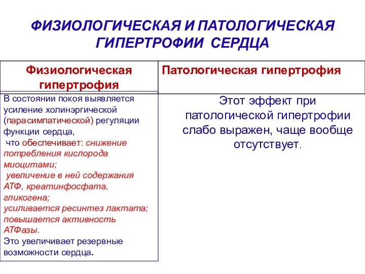 ФИЗИОЛОГИЧЕСКАЯ И ПАТОЛОГИЧЕСКАЯ ГИПЕРТРОФИИ СЕРДЦА В состоянии покоя выявляется усиление холинэргической