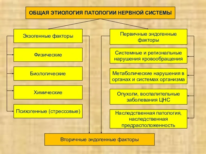 ОБЩАЯ ЭТИОЛОГИЯ ПАТОЛОГИИ НЕРВНОЙ СИСТЕМЫ Экзогенные факторы Физические Биологические Химические Психогенные