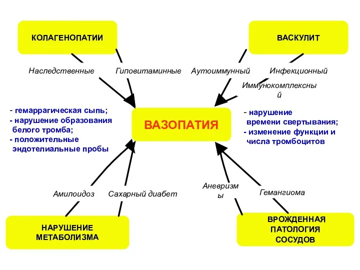 ВАЗОПАТИЯ КОЛАГЕНОПАТИИ ВАСКУЛИТ ВРОЖДЕННАЯ ПАТОЛОГИЯ СОСУДОВ НАРУШЕНИЕ МЕТАБОЛИЗМА гемаррагическая сыпь; нарушение