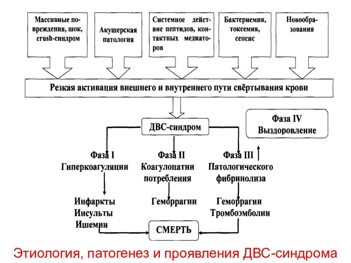 Этиология, патогенез и проявления ДВС-синдрома