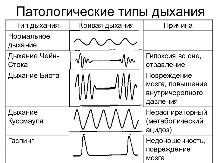 Патологические типы дыхания