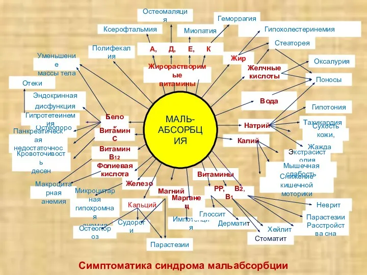 Симптоматика синдрома мальабсорбции МАЛЬ- АБСОРБЦИЯ Белок Витамин С Остеопороз Гипротетеинемия Панкреатическая