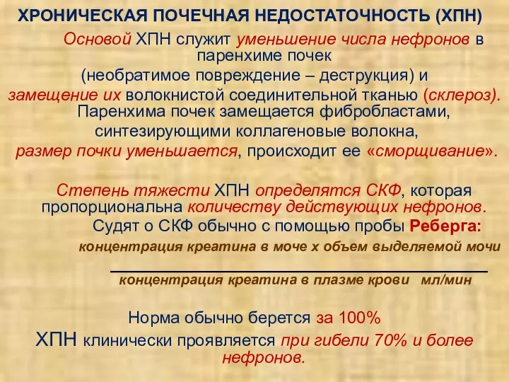 ХРОНИЧЕСКАЯ ПОЧЕЧНАЯ НЕДОСТАТОЧНОСТЬ (ХПН) Основой ХПН служит уменьшение числа нефронов в