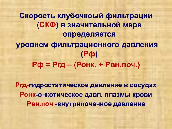 Скорость клубочкоый фильтрации (СКФ) в значительной мере определяется уровнем фильтрационного давления