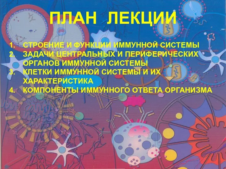 ПЛАН ЛЕКЦИИ СТРОЕНИЕ И ФУНКЦИИ ИММУННОЙ СИСТЕМЫ ЗАДАЧИ ЦЕНТРАЛЬНЫХ И ПЕРИФЕРИЧЕСКИХ