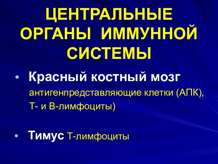 ЦЕНТРАЛЬНЫЕ ОРГАНЫ ИММУННОЙ СИСТЕМЫ Красный костный мозг антигенпредставляющие клетки (АПК), Т- и В-лимфоциты) Тимус Т-лимфоциты