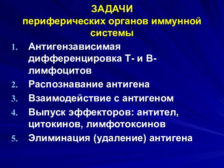 ЗАДАЧИ периферических органов иммунной системы Антигензависимая дифференцировка Т- и В-лимфоцитов Распознавание