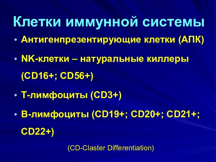 Клетки иммунной системы Антигенпрезентирующие клетки (АПК) NK-клетки – натуральные киллеры (CD16+;