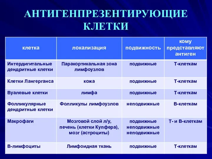 АНТИГЕНПРЕЗЕНТИРУЮЩИЕ КЛЕТКИ