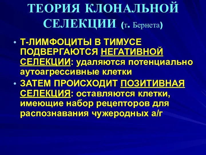 ТЕОРИЯ КЛОНАЛЬНОЙ СЕЛЕКЦИИ (т. Бернета) Т-ЛИМФОЦИТЫ В ТИМУСЕ ПОДВЕРГАЮТСЯ НЕГАТИВНОЙ СЕЛЕКЦИИ: