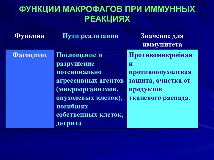 ФУНКЦИИ МАКРОФАГОВ ПРИ ИММУННЫХ РЕАКЦИЯХ