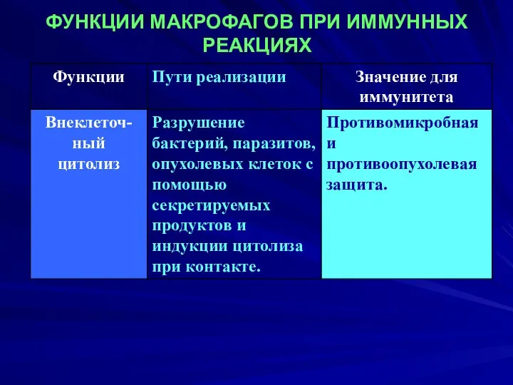 ФУНКЦИИ МАКРОФАГОВ ПРИ ИММУННЫХ РЕАКЦИЯХ