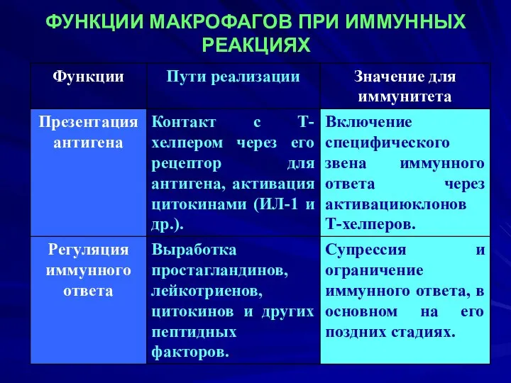 ФУНКЦИИ МАКРОФАГОВ ПРИ ИММУННЫХ РЕАКЦИЯХ