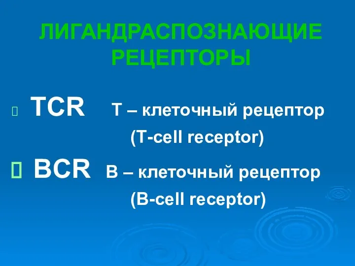 ЛИГАНДРАСПОЗНАЮЩИЕ РЕЦЕПТОРЫ TCR Т – клеточный рецептор (Т-cell receptor) BCR В – клеточный рецептор (B-cell receptor)