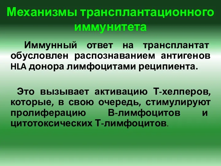 Механизмы трансплантационного иммунитета Иммунный ответ на трансплантат обусловлен распознаванием антигенов HLA