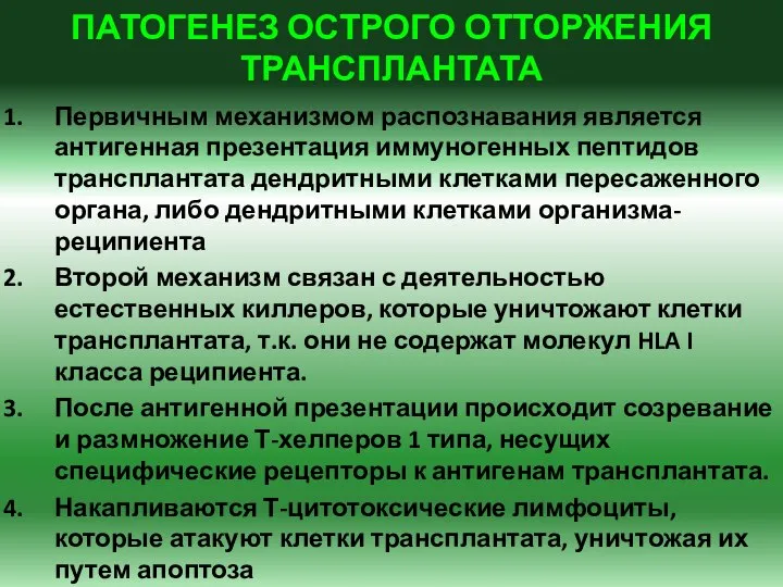 ПАТОГЕНЕЗ ОСТРОГО ОТТОРЖЕНИЯ ТРАНСПЛАНТАТА Первичным механизмом распознавания является антигенная презентация иммуногенных