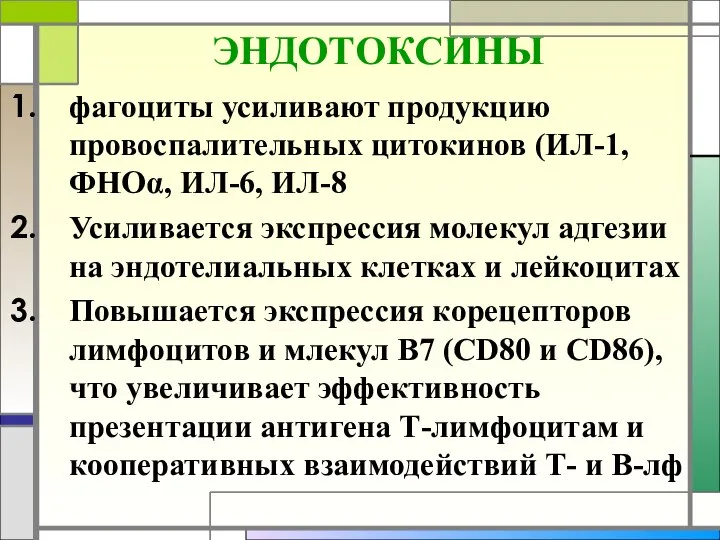 ЭНДОТОКСИНЫ фагоциты усиливают продукцию провоспалительных цитокинов (ИЛ-1, ФНОα, ИЛ-6, ИЛ-8 Усиливается