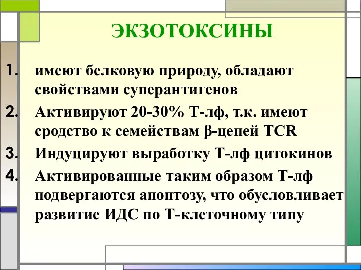 ЭКЗОТОКСИНЫ имеют белковую природу, обладают свойствами суперантигенов Активируют 20-30% Т-лф, т.к.