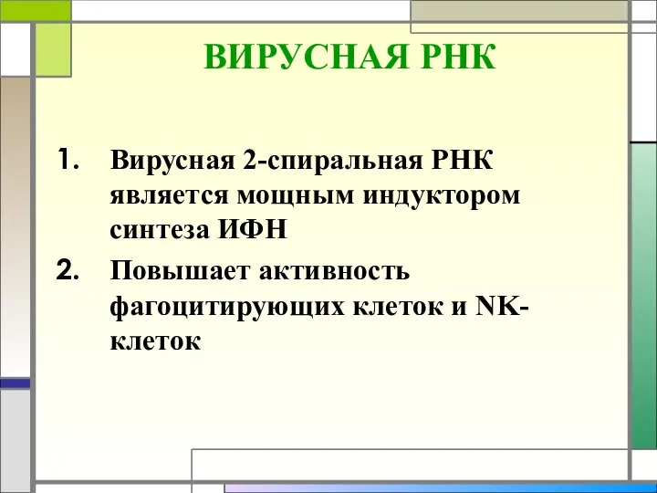 ВИРУСНАЯ РНК Вирусная 2-спиральная РНК является мощным индуктором синтеза ИФН Повышает активность фагоцитирующих клеток и NK-клеток