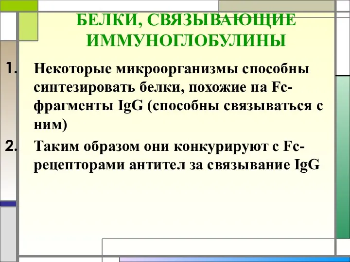 БЕЛКИ, СВЯЗЫВАЮЩИЕ ИММУНОГЛОБУЛИНЫ Некоторые микроорганизмы способны синтезировать белки, похожие на Fc-фрагменты