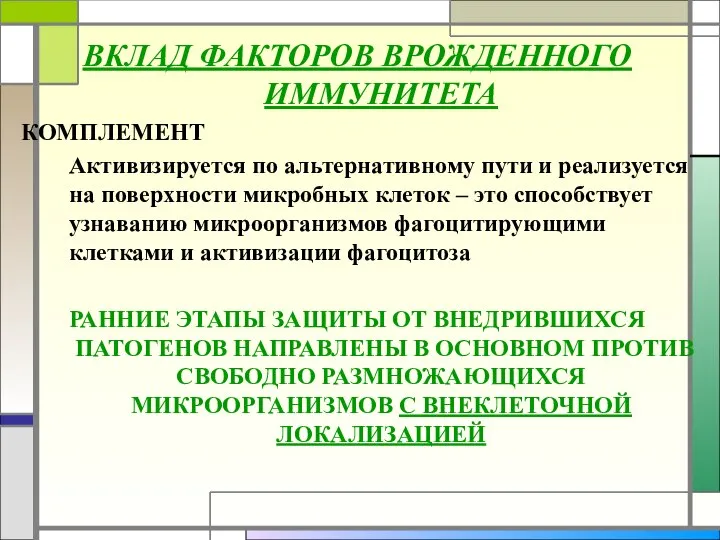 ВКЛАД ФАКТОРОВ ВРОЖДЕННОГО ИММУНИТЕТА КОМПЛЕМЕНТ Активизируется по альтернативному пути и реализуется