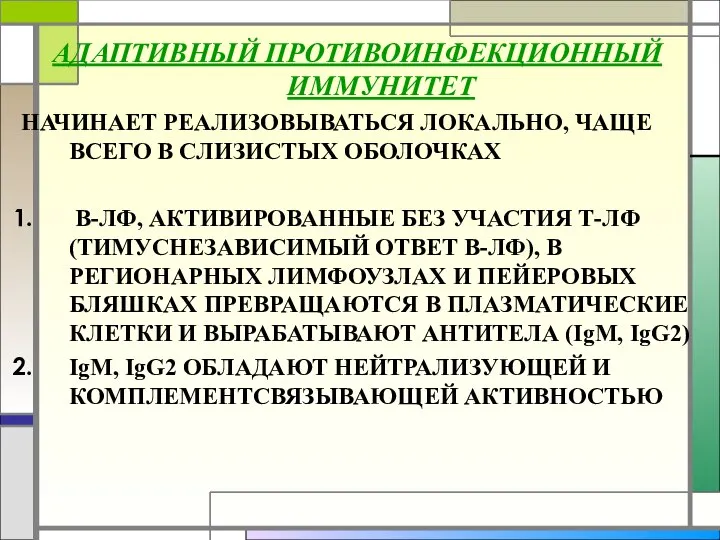 АДАПТИВНЫЙ ПРОТИВОИНФЕКЦИОННЫЙ ИММУНИТЕТ НАЧИНАЕТ РЕАЛИЗОВЫВАТЬСЯ ЛОКАЛЬНО, ЧАЩЕ ВСЕГО В СЛИЗИСТЫХ ОБОЛОЧКАХ