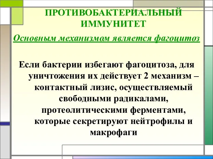 ПРОТИВОБАКТЕРИАЛЬНЫЙ ИММУНИТЕТ Основным механизмом является фагоцитоз Если бактерии избегают фагоцитоза, для