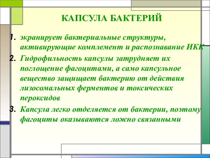 КАПСУЛА БАКТЕРИЙ экранирует бактериальные структуры, активирующие комплемент и распознавание ИКК Гидрофильность