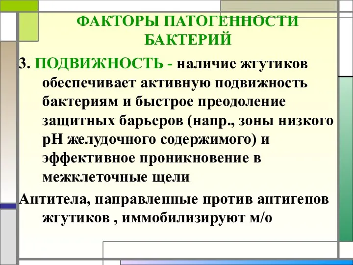 ФАКТОРЫ ПАТОГЕННОСТИ БАКТЕРИЙ 3. ПОДВИЖНОСТЬ - наличие жгутиков обеспечивает активную подвижность