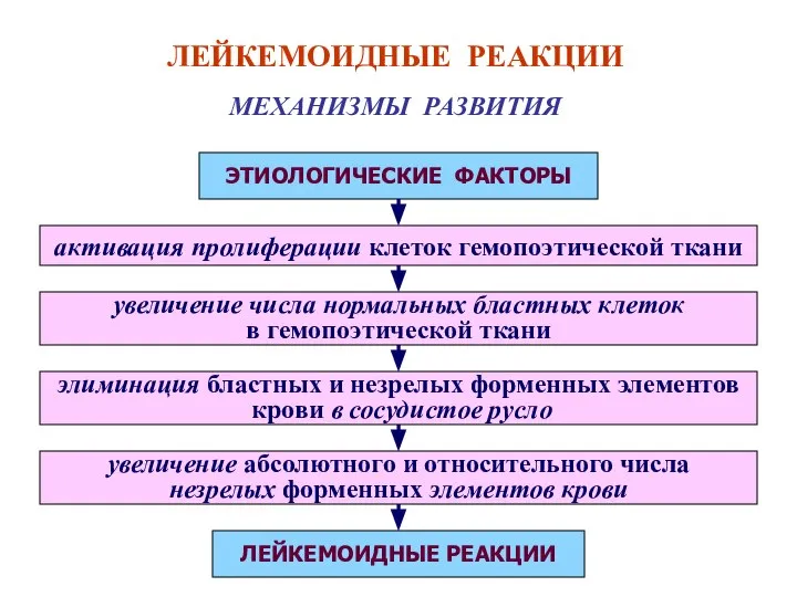 ЛЕЙКЕМОИДНЫЕ РЕАКЦИИ МЕХАНИЗМЫ РАЗВИТИЯ ЭТИОЛОГИЧЕСКИЕ ФАКТОРЫ