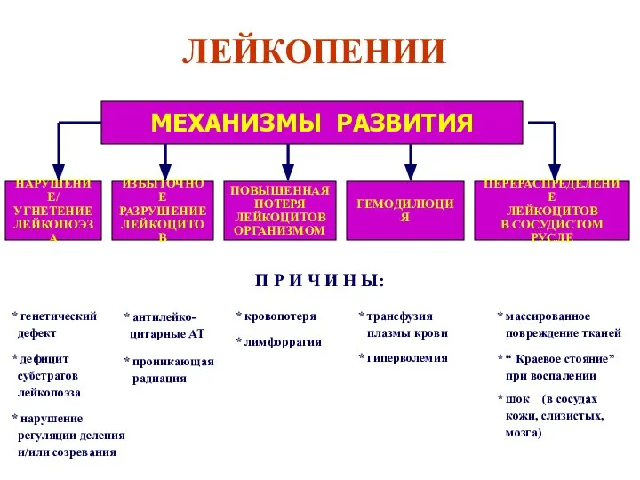 ЛЕЙКОПЕНИИ МЕХАНИЗМЫ РАЗВИТИЯ П Р И Ч И Н Ы: *