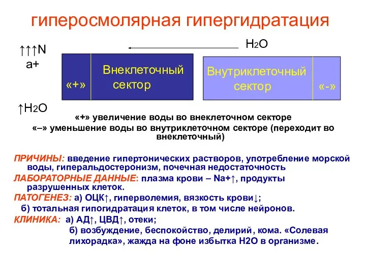 гиперосмолярная гипергидратация «+» увеличение воды во внеклеточном секторе «–» уменьшение воды