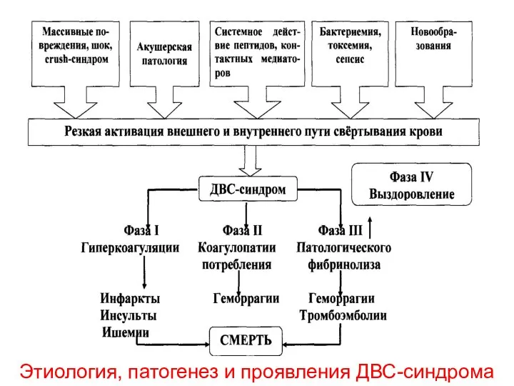 Этиология, патогенез и проявления ДВС-синдрома