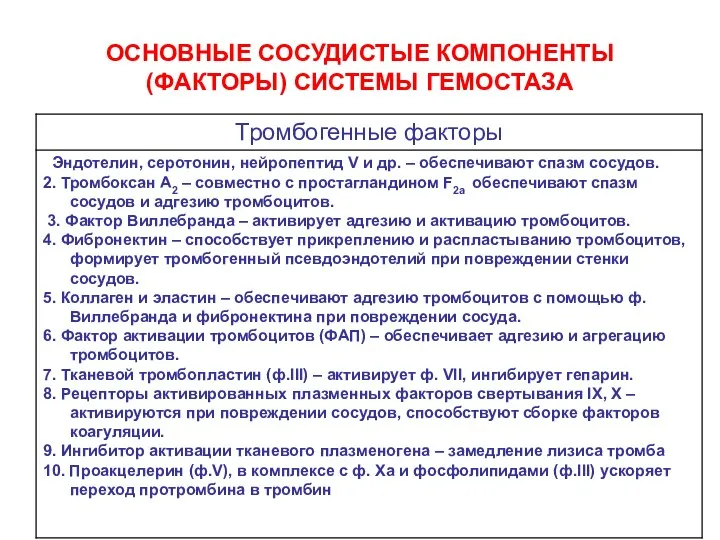 ОСНОВНЫЕ СОСУДИСТЫЕ КОМПОНЕНТЫ (ФАКТОРЫ) СИСТЕМЫ ГЕМОСТАЗА