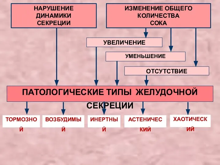 ТОРМОЗНОЙ ВОЗБУДИМЫЙ ИНЕРТНЫЙ АСТЕНИЧЕСКИЙ ХАОТИЧЕСКИЙ