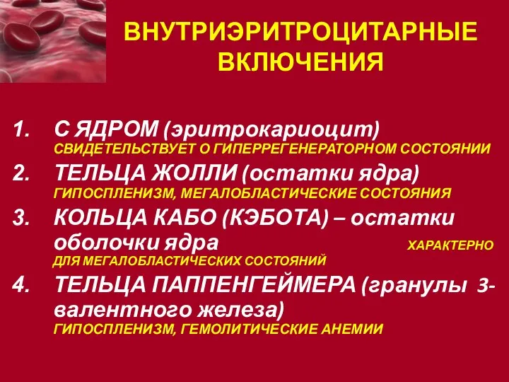 ВНУТРИЭРИТРОЦИТАРНЫЕ ВКЛЮЧЕНИЯ С ЯДРОМ (эритрокариоцит) СВИДЕТЕЛЬСТВУЕТ О ГИПЕРРЕГЕНЕРАТОРНОМ СОСТОЯНИИ ТЕЛЬЦА ЖОЛЛИ