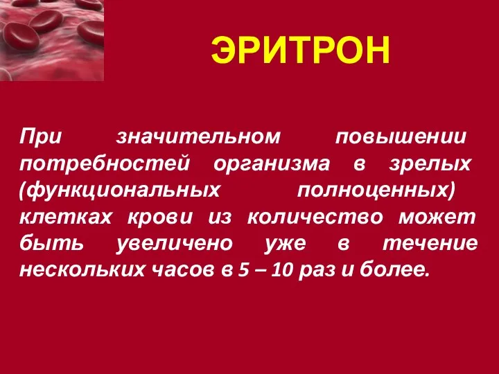 ЭРИТРОН При значительном повышении потребностей организма в зрелых (функциональных полноценных) клетках