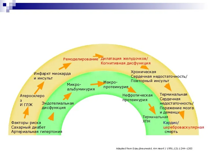 Кардио/ цереброваскулярная смерть Терминальная Сердечная недостаточность/ Поражение мозга и деменция Терминальная