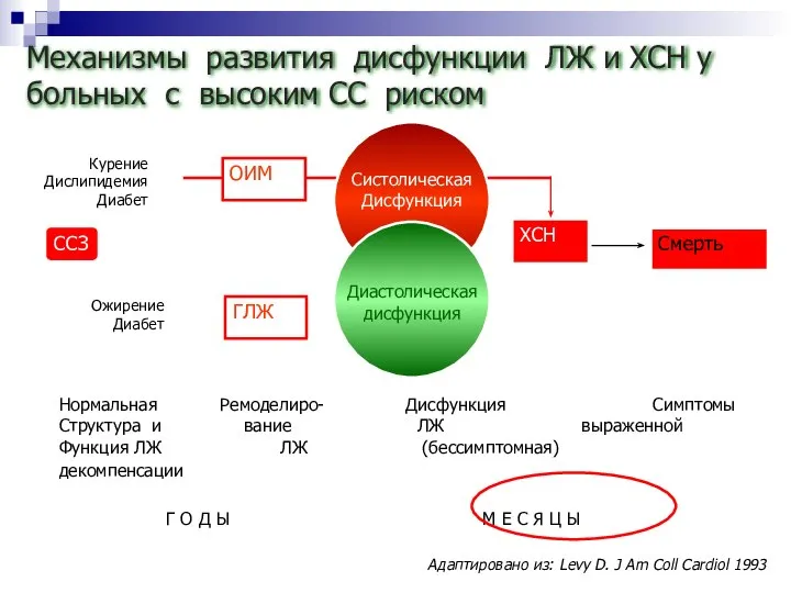 Механизмы развития дисфункции ЛЖ и ХСН у больных с высоким СС риском