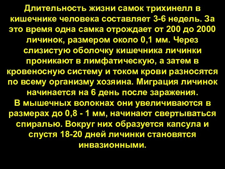 Длительность жизни самок трихинелл в кишечнике человека составляет 3-6 недель. За