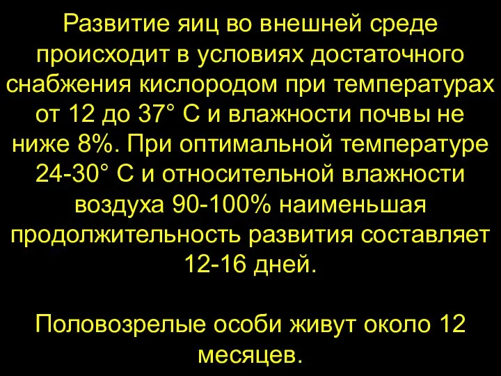 Развитие яиц во внешней среде происходит в условиях достаточного снабжения кислородом