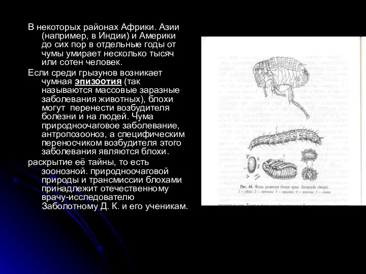 В некоторых районах Африки. Азии (например, в Индии) и Америки до