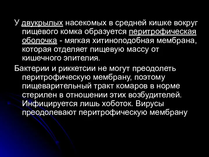 У двукрылых насекомых в средней кишке вокруг пищевого комка образуется перитрофическая